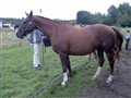 Bild002-2.jpg