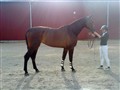 DSC00906_mindre.jpg
